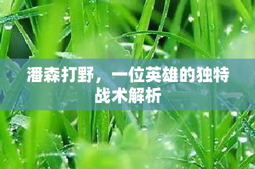 一位英雄的独特战术解析图片