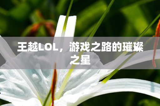 游戏之路的璀璨之星图片