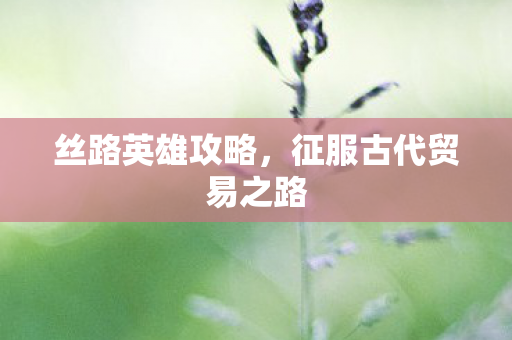 征服古代贸易之路图片