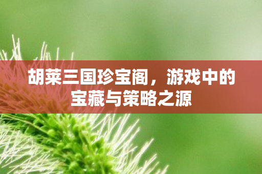 游戏中的宝藏与策略之源图片
