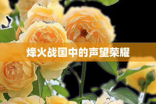 烽火战国中的声望荣耀图片