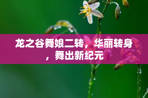 龙之谷舞娘二转图片