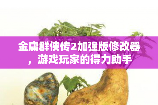 金庸群侠传2加强版修改器图片