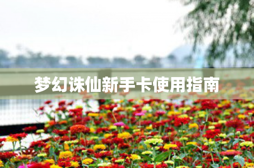 梦幻诛仙新手卡使用指南图片