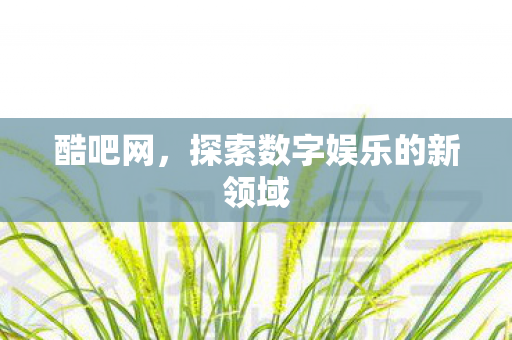 探索数字娱乐的新领域图片