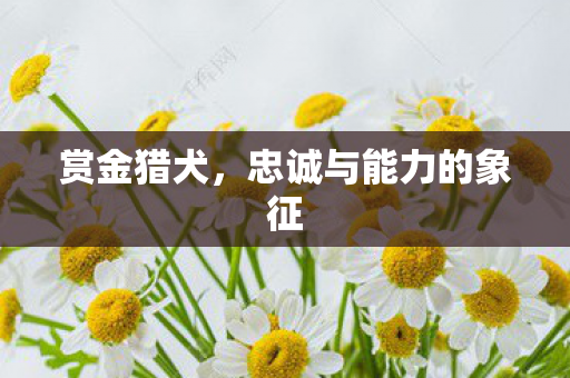 忠诚与能力的象征图片