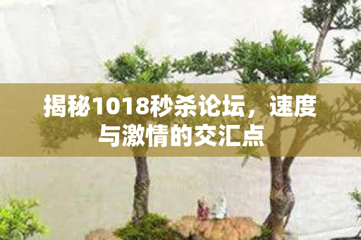 揭秘1018秒杀论坛图片