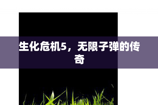 无限子弹的传奇图片