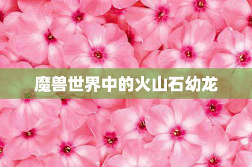 魔兽世界中的火山石幼龙图片