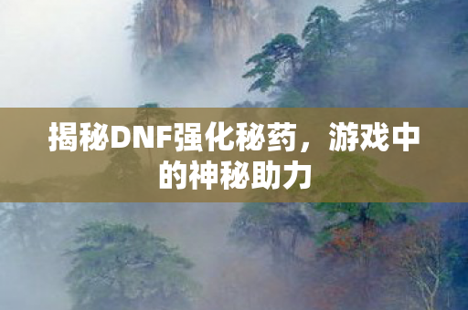 揭秘DNF强化秘药图片