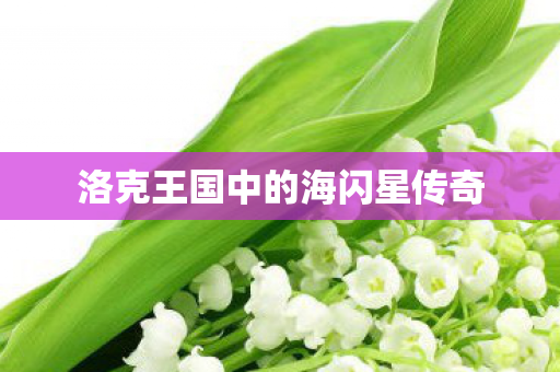 洛克王国中的海闪星传奇图片