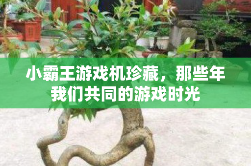 那些年我们共同的游戏时光图片