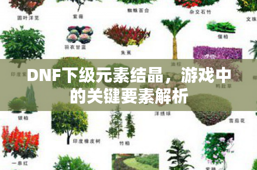 游戏中的关键要素解析图片