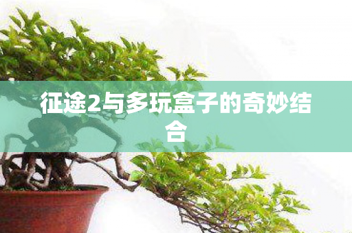 征途2与多玩盒子的奇妙结合图片