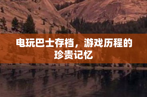 游戏历程的珍贵记忆图片
