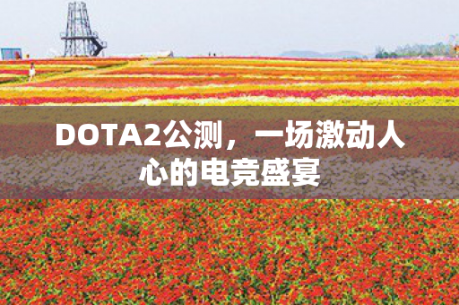 一场激动人心的电竞盛宴图片