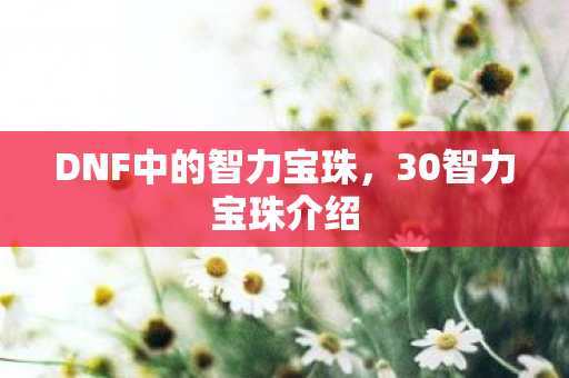 DNF中的智力宝珠图片