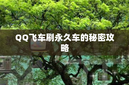 QQ飞车刷永久车的秘密攻略图片
