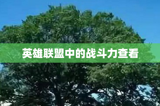 英雄联盟中的战斗力查看图片