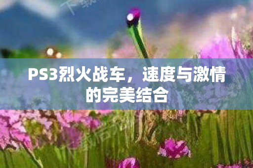 速度与激情的完美结合图片