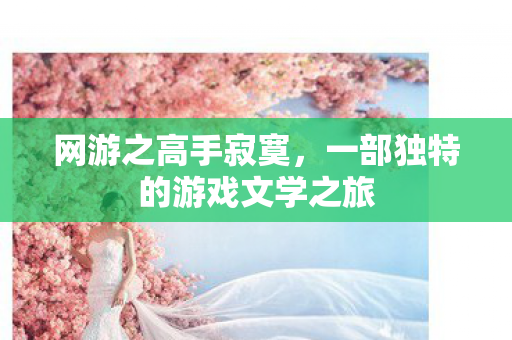 一部独特的游戏文学之旅图片