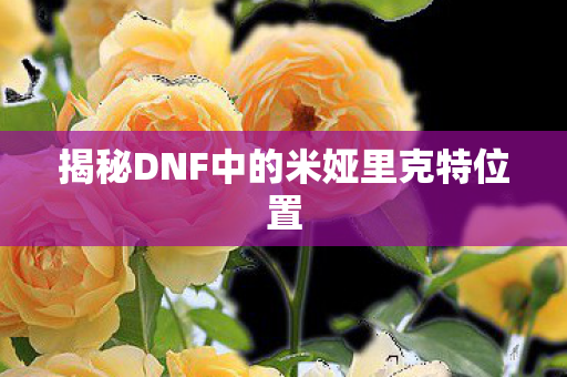 揭秘DNF中的米娅里克特位置图片