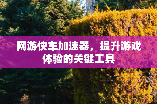 提升游戏体验的关键工具图片