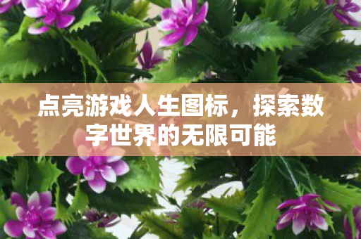 探索数字世界的无限可能图片