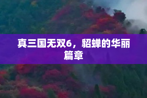貂蝉的华丽篇章图片