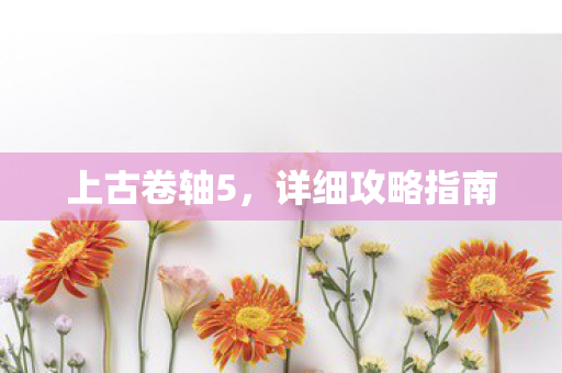 详细攻略指南图片