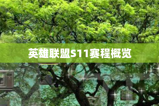 英雄联盟S11赛程概览图片
