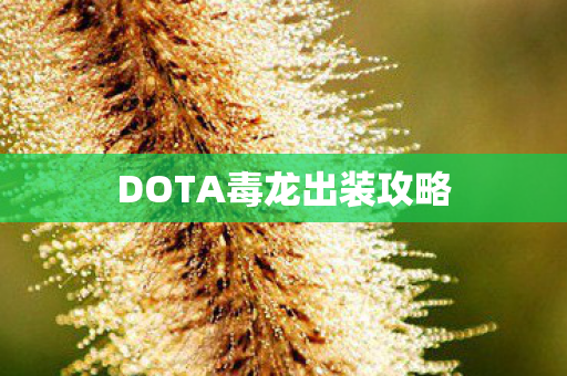 DOTA毒龙出装攻略图片
