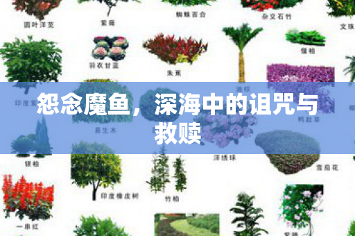 深海中的诅咒与救赎图片