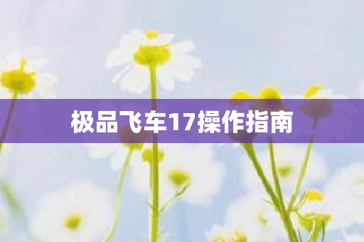 极品飞车17操作指南图片