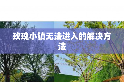 玫瑰小镇无法进入的解决方法图片