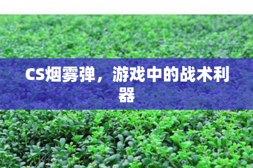 游戏中的战术利器图片