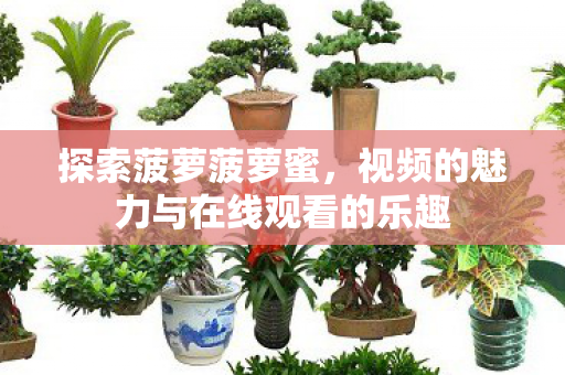 视频的魅力与在线观看的乐趣图片
