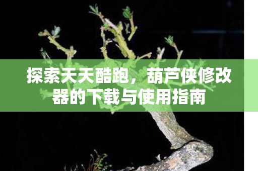 葫芦侠修改器的下载与使用指南图片