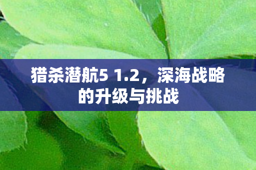 深海战略的升级与挑战图片