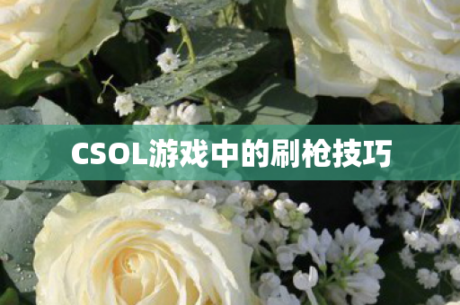 CSOL游戏中的刷枪技巧图片