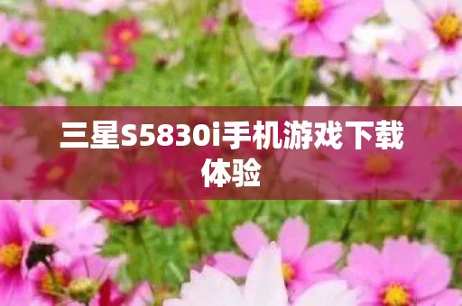 三星S5830i手机游戏下载体验图片