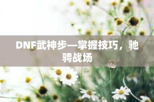 DNF武神步图片