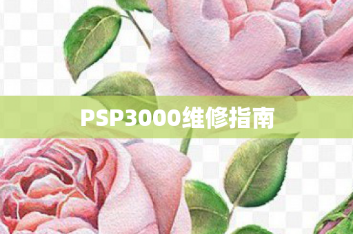 PSP3000维修指南图片
