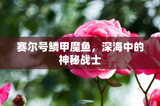 深海中的神秘战士图片