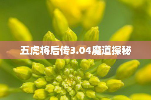 五虎将后传3图片