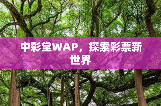探索彩票新世界图片