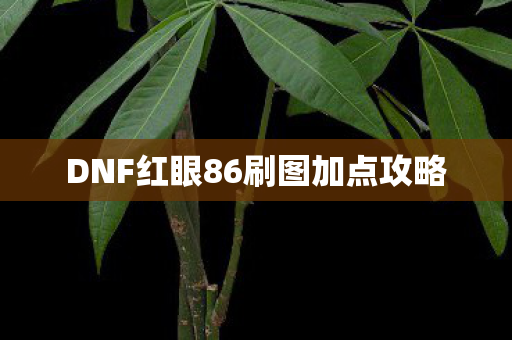 DNF红眼86刷图加点攻略图片