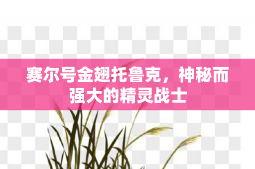 神秘而强大的精灵战士图片
