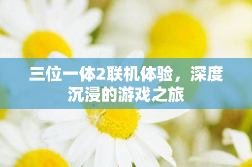 三位一体2联机体验图片