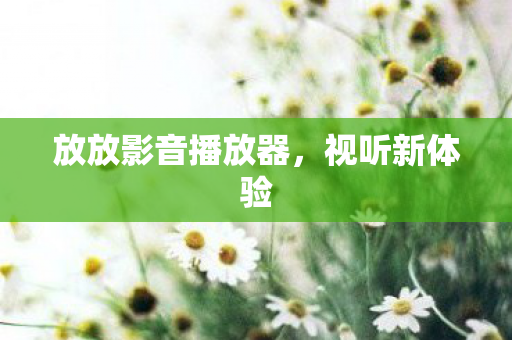 放放影音播放器图片
